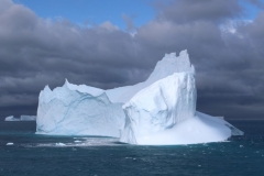 Iceberg by Liz Pasteur