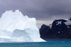 Iceberg by Denise Landlau
